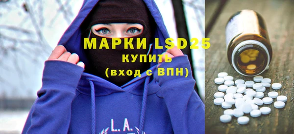 хмурый Абаза