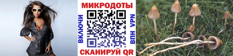 Галлюциногенные грибы мицелий  omg tor  Элиста 