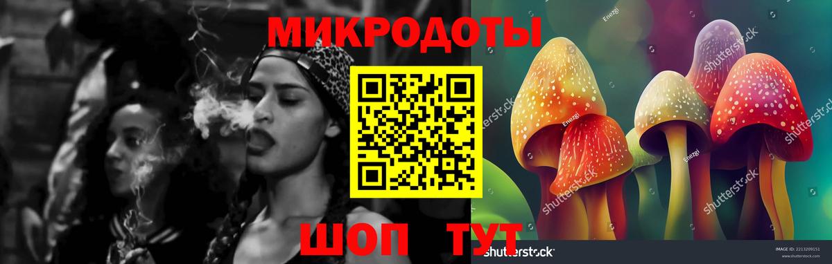 Галлюциногенные грибы Cubensis  Вход с VPN  хочу   Элиста 